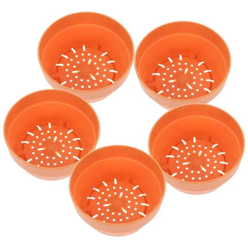 Set of 6 Chic Clay Planters - 12.5cm Pots for Indoor & Outdoor Succulent and Herb Gardening