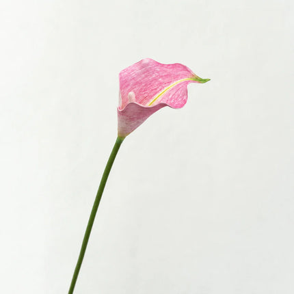 Artificial Calla Lily Flower Stem, 50 cm, Single Stem