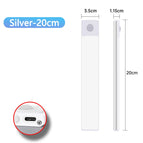 Silver 20cm