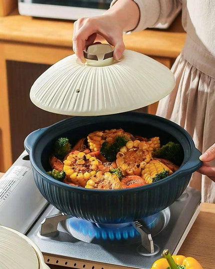 Japanese Ceramic Double Handle Stew Pot for Authentic Gas Stove Cooking