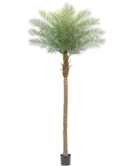 Lifelike Giant Faux Coconut Palm Tree - Ideal Tropical Decoration for Any Space