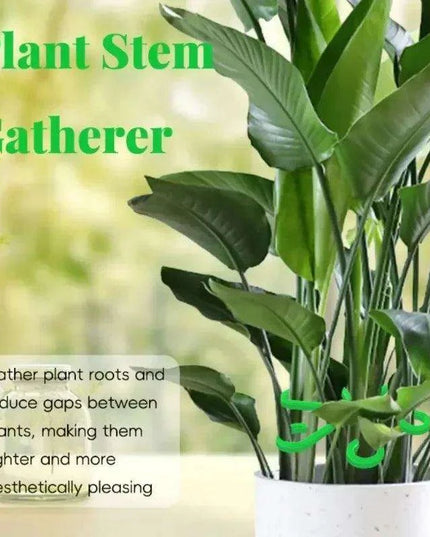 12 Pack Eco-Friendly Plant Support Frames - Stylish Trellis for Enhanced Plant Growth