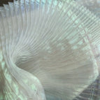 White Rainbow