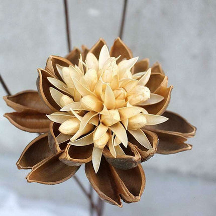 Artisanal Lotus Blossom Bouquet: A Rustic Touch for Your Home