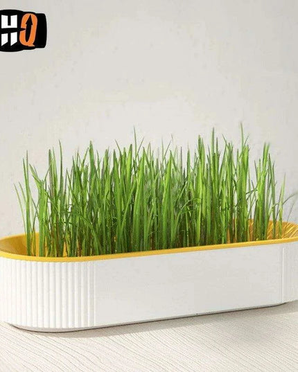 Indoor Hydroponic Cat Grass Kit - Grow Fresh, Nutritious Treats for Your Feline Friend