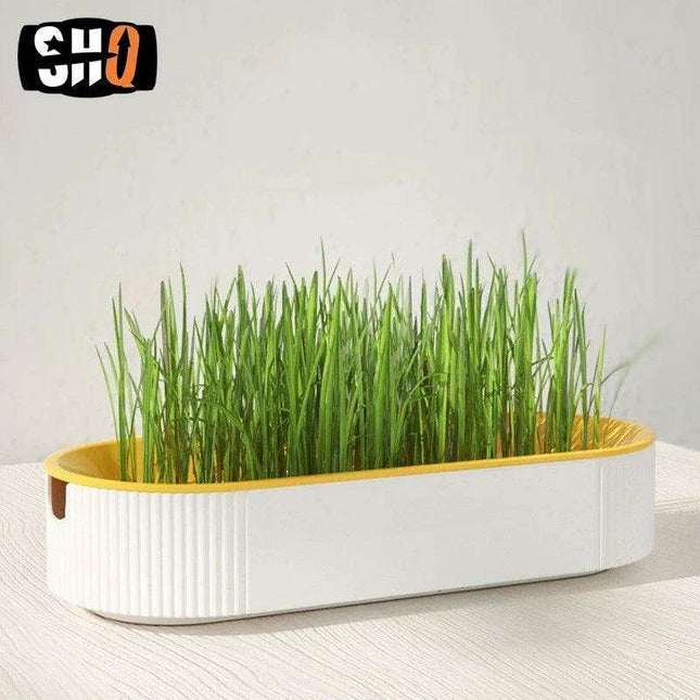 Indoor Hydroponic Cat Grass Kit - Grow Fresh, Nutritious Treats for Your Feline Friend