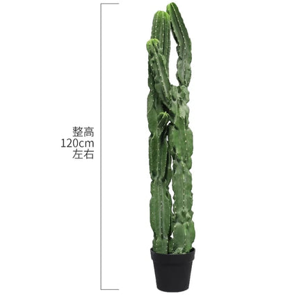 The Space Under The Staircase Is Decorated with Simulated Green Plants in The Desert Creating Indoor Micro-landscape the-space-under-the-staircase-is-decorated-with-simulated-green-plants-in-the-desert-creating-indoor-micro-landscape