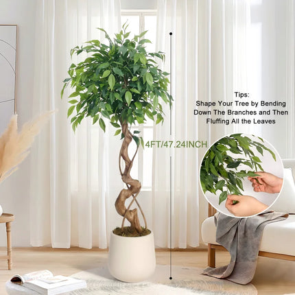 Artificial Ficus Tree with Twisted Trunk & Ceramic Planter