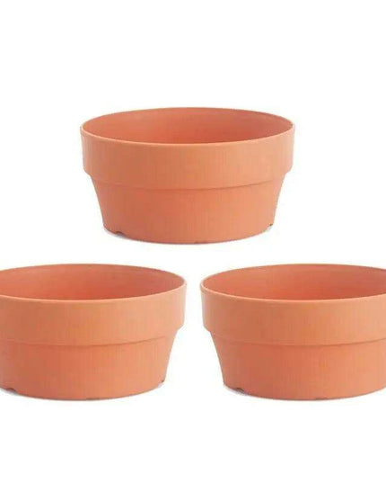 Set of 6 Chic Clay Planters - 12.5cm Pots for Indoor & Outdoor Succulent and Herb Gardening