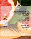 Cedar Grapefruit Tea / 10ml
