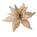 B-Light Gold
