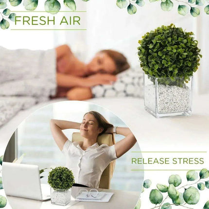 Stylish 16-Piece Square Glass Vase Set - Crystal Clear Home Accent Decor