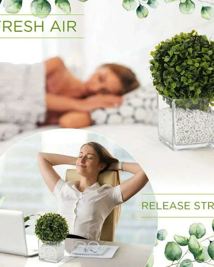 Stylish 16-Piece Square Glass Vase Set - Crystal Clear Home Accent Decor