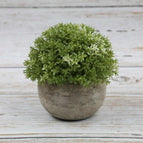Milanese Grass (Green White)