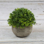 Milanese Grass (Green)