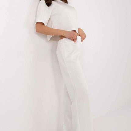 Set Model 208677 Elegant Ladies Everyday And Work Attire - Très Elite