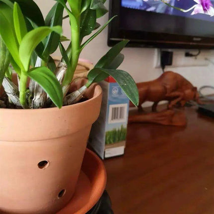 Set of 2 Stylish Red Terracotta Hanging Pots with Drainage for Succulents and Cacti - Très Elite