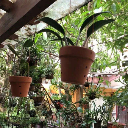 Set of 2 Stylish Red Terracotta Hanging Pots with Drainage for Succulents and Cacti - Très Elite