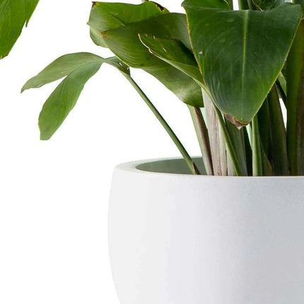 Set of 3 Modern White Concrete Round Planters - Elegant Plant Pot Trio - Très Elite