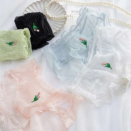 Set of 5 Women's Elegant Lace Mesh Briefs - Summer Breathable Comfort Underwear - Très Elite