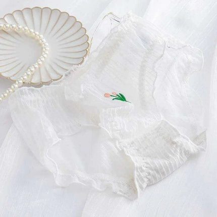 Set of 5 Women's Elegant Lace Mesh Briefs - Summer Breathable Comfort Underwear - Très Elite