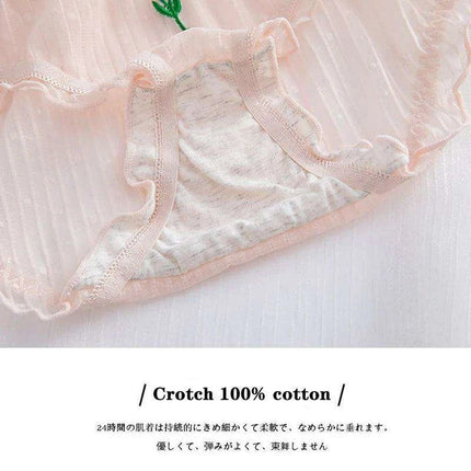 Set of 5 Women's Elegant Lace Mesh Briefs - Summer Breathable Comfort Underwear - Très Elite