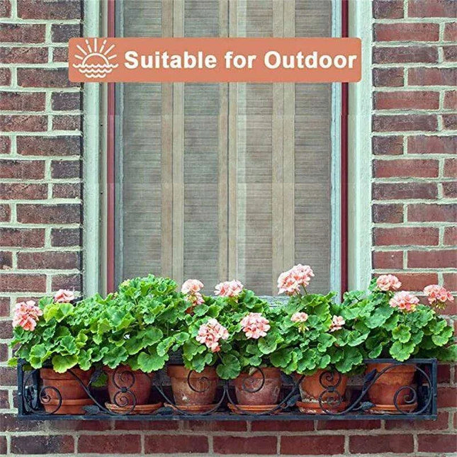 Set of 6 Adorable Mini Terracotta Pots with Saucers - Perfect for Succulents, Cacti, and Herbs - Sturdy Clay Planters for Home and Garden Decoration