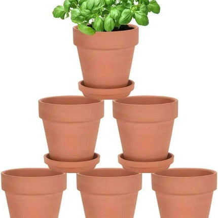 Set of 6 Adorable Mini Terracotta Pots with Saucers - Perfect for Succulents, Cacti, and Herbs - Sturdy Clay Planters for Home and Garden Decoration..
