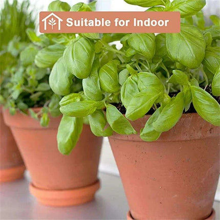 Set of 6 Adorable Mini Terracotta Pots with Saucers - Perfect for Succulents, Cacti, and Herbs - Sturdy Clay Planters for Home and Garden Decoration - Très Elite
