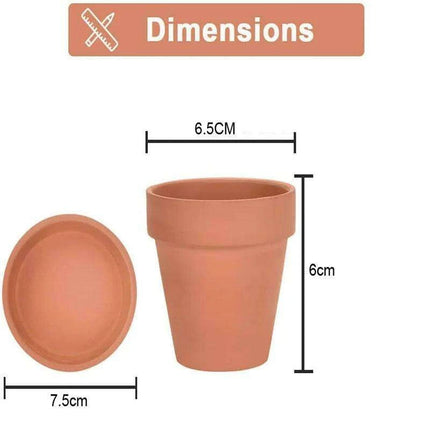 Set of 6 Adorable Mini Terracotta Pots with Saucers - Perfect for Succulents, Cacti, and Herbs - Sturdy Clay Planters for Home and Garden Decoration - Très Elite