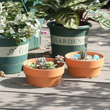 Set of 6 Chic Clay Planters - 12.5cm Pots for Indoor & Outdoor Succulent and Herb Gardening - Très Elite