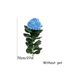 70cm Blue