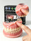 2026 New Instant Smile Moldable Silicone Denture Kit, Natural Ivory Upper & Lower False Teeth With Toothbrush & Toothpaste 2026-new-instant-smile-moldable-silicone-denture-kit-natural-ivory-upper-lower-false-teeth-with-toothbrush-toothpaste-7