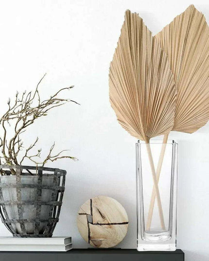 Set of 6 Elegant Clear Glass Vases - Chic Home Decor Accent