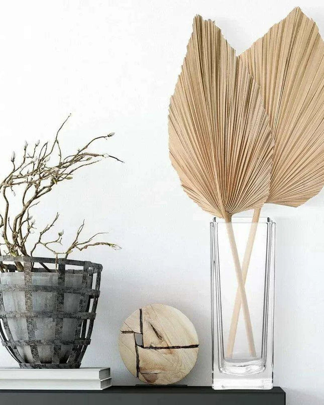 Set of 6 Elegant Clear Glass Vases - Chic Home Decor Accent