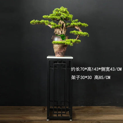 Exquisite Hut Retro Pine Bonsai Desktop Ornament - Zen Potted Decorati