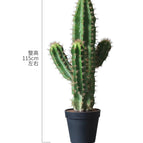Upright Stalk