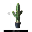 Upright Stalk