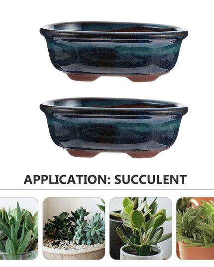Set of 2 Elegant Blue Ceramic Planters for Indoor and Outdoor Decor, Perfect for Bonsai and Plant Showcases
