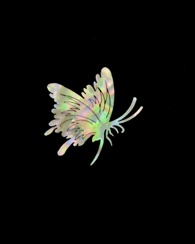 Iridescent Abalone Shell Craft Flakes for Creative Nail Art and DIY Enhancements