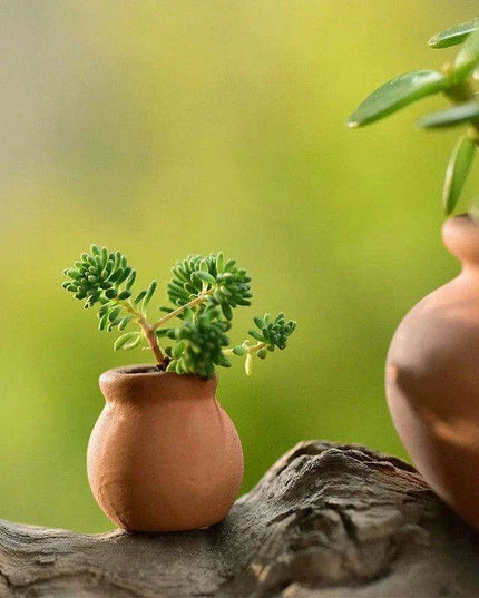 Artistic Terracotta Planter Set - Ideal for Succulents and Creative Projects