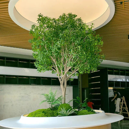 High-end horse drunk wood real plant window landscaping interior decoration tree green plants large fake tree simple landscape high-end-horse-drunk-wood-real-plant-window-landscaping-interior-decoration-tree-green-plants-large-fake-tree-simple-landscape