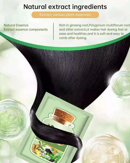 Botanical Bubble Hair Dye Kit - Complete Gray Coverage & Nourishing Plant Essences