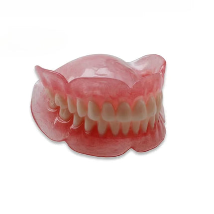 High-quality hot-selling medical dentals display model for education high-quality-hot-selling-medical-dentals-display-model-for-education
