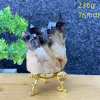 236g