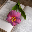 pink purple / 2pcs / CN