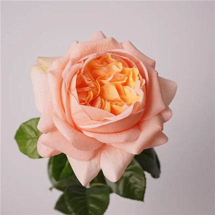 Real Touch Austin Latex Rose Stems — Set of 5