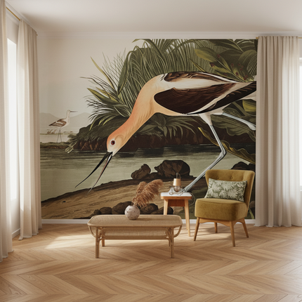 American Avocet Bird Mural Wallpaper — Non-Woven, Custom Sizes