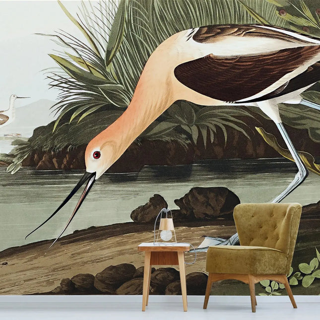 American Avocet Bird Mural Wallpaper — Non-Woven, Custom Sizes