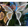 White light -100cm / 2pcs